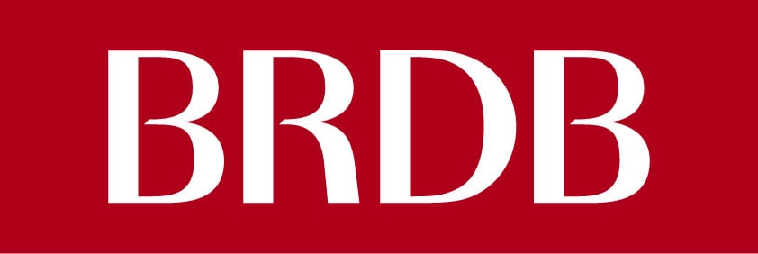 Developer Partner logo