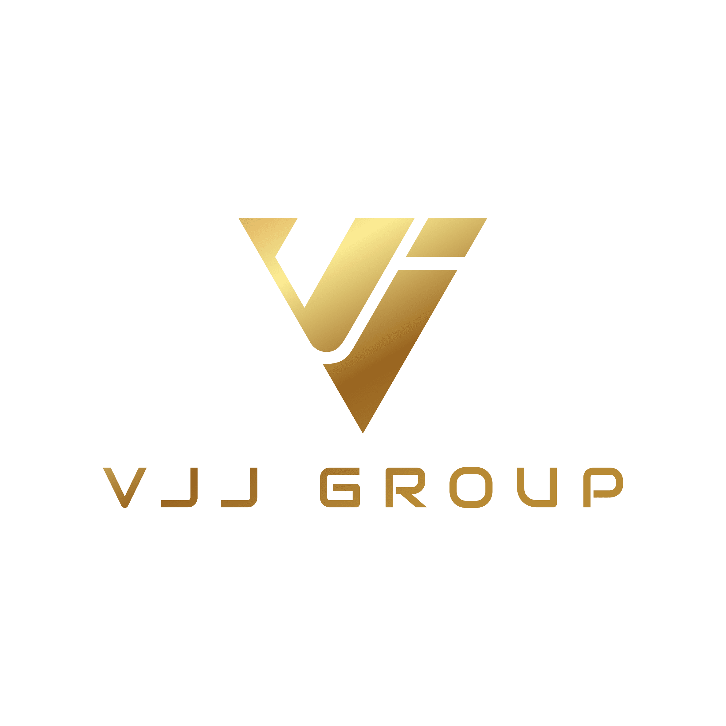 VJJ GROUP logo