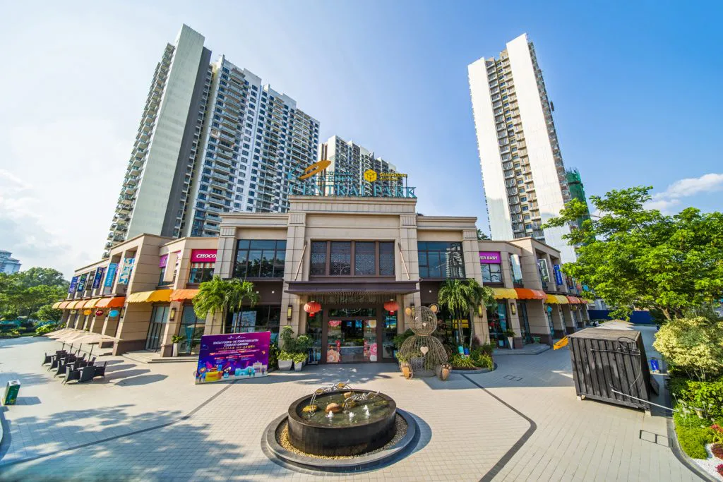 Central Park project view