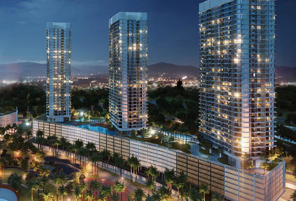 The M Macrolink project view
